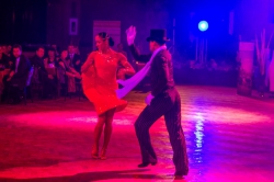 V. Taneční ples